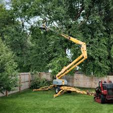 How Our Tree Care Process Works  in  Marshall, MO