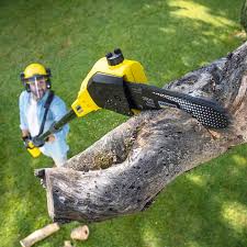 Marshall, MO Tree Care Company